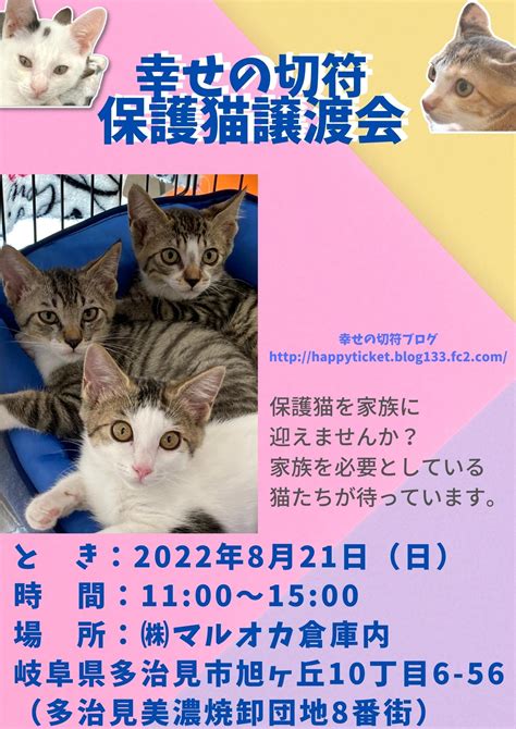 幸せの切符 2022年8月21日日）は多治見市で（株）マルオカさんで譲渡会を開催します。