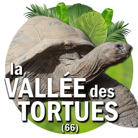 D Couvrir La Vall E Des Tortues Pr S De Leucate