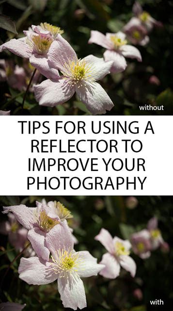 Tips for using a reflector to improve your photography | Discover Digital Photography