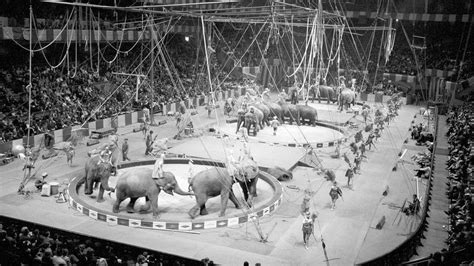 Ringling Bros Circus Elephants Perform Last Show Cnn