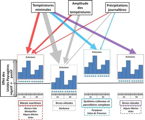 Effets Des Diff Rentes Variables Environnementales Sur Les Closions