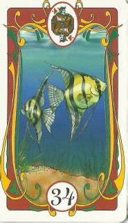 Os Peixes Significado No Baralho Cigano Ou Lenormand