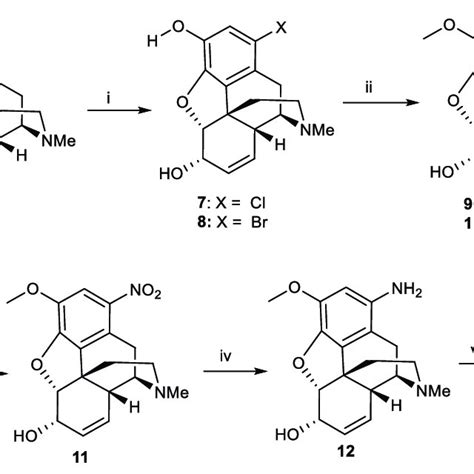 Scheme 1 Reagents And Conditions I HX Cl Or Br KIO 3 Or H 2 O 2