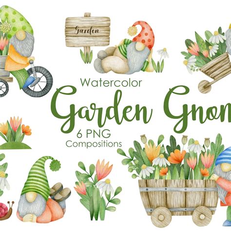 Watercolor Gnomes Clipart Etsy