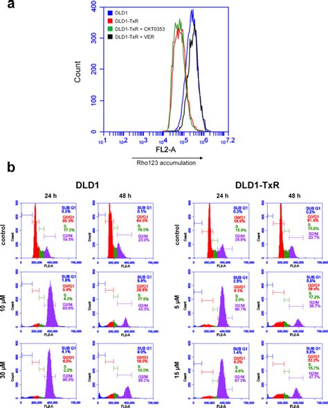 The Effect Of CKT0353 Treatment On P Glycoprotein Function And Cell