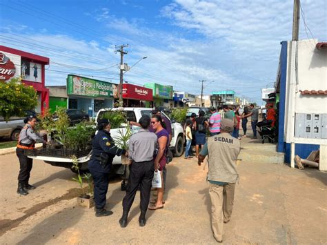 Desenvolvimento Ambiental Mutir O De Limpeza E Atividades Para