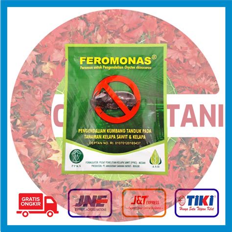 Jual Feromonas Pengendali Kumbang Tanduk Feromon Shopee Indonesia