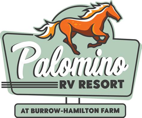 10 Reasons Families Love RV Camping at Palomino Resort Cullman