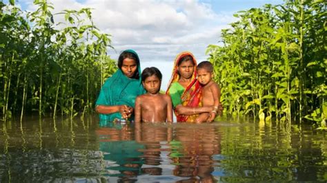 Mudanças climáticas os efeitos alarmantes sobre o mundo hoje segundo