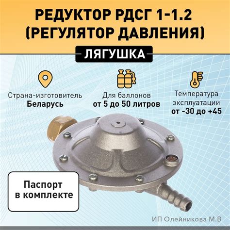 Регулятор (редуктор) давления для бытового газового баллона РДСГ 1-1,2 ...