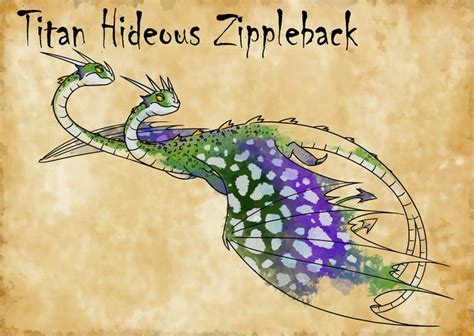 How To Train Your Dragon Zippleback Drawing