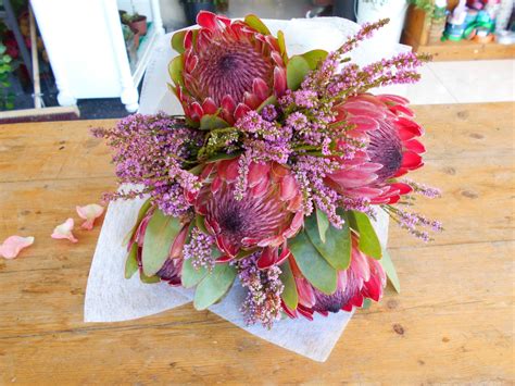 Mini Protea Bouquet – Kenly's