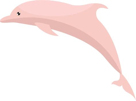 Delfin rosado Más de 2 508 vectores de stock y arte vectorial con