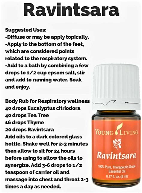 Ravintsara Young Living Essential Oil Blend 5 Ml Etsy