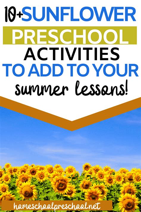 Sunflower Lesson Plans Artofit