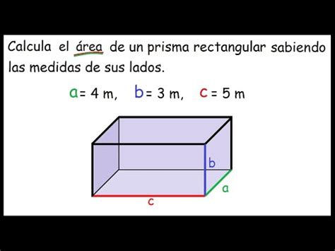 receta También tono cual es el area de un prisma preferible Haz un