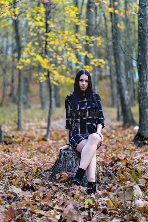 A Beautiful And Elegant Brunette Posing In The Forest During Autumn Stock Photo Image Of
