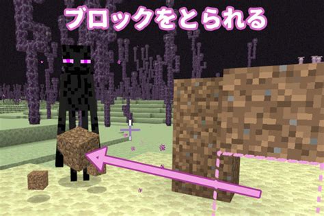 【マイクラ】エンダーマンをノーダメージで簡単に倒す方法 マイクラモール