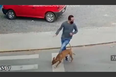 La Triste Historia Del Video Que Un Perro Atropella A Un Hombre