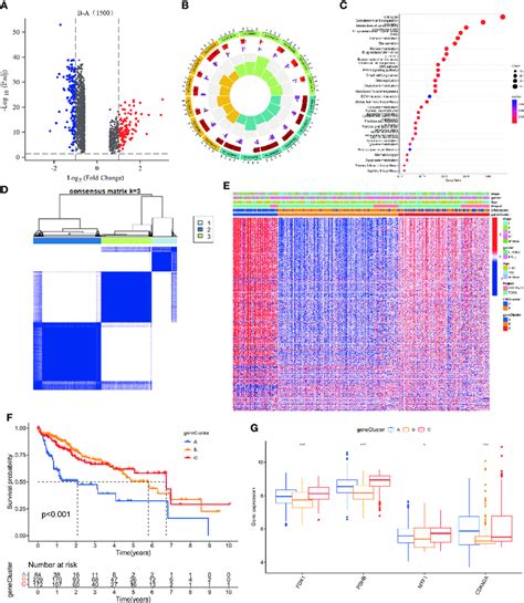 Identification Of Gene Subtypes Based On DEGs A 1500 DEGs Between