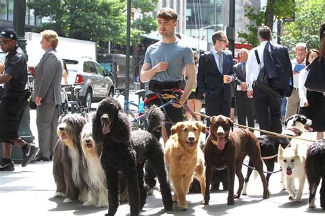 Daniel Radcliffe Sports Amazing New Undercut And Poses With A Bunch Of