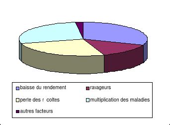 Memoire Online Vuln Rabilit Et Adaptation Des Activites