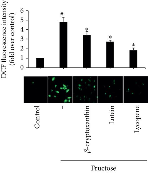 Effects of β cryptoxanthin lutein and lycopene on fructose induced