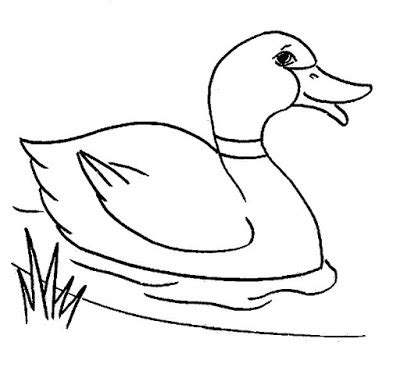 Free Outline Of A Duck, Download Free Outline Of A Duck png images, Free ClipArts on Clipart Library