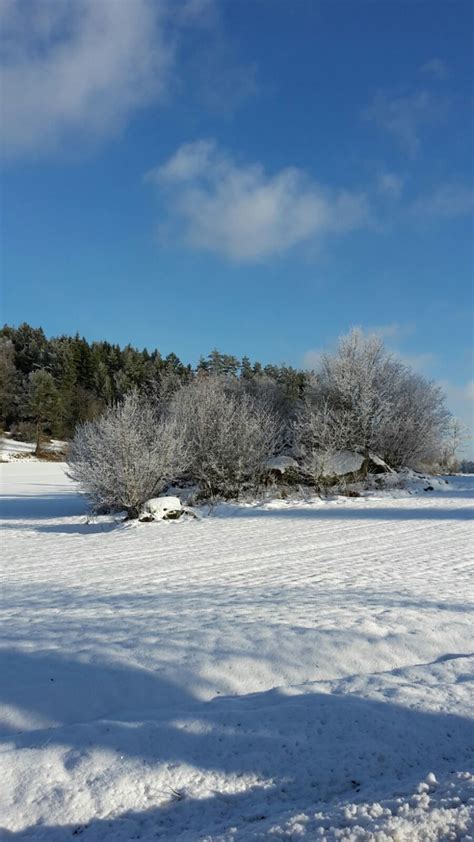 Winterimpressionen im Bezirk Gmünd