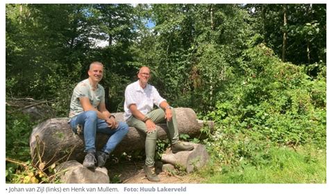 Beheerders Schollebos Rommelige Natuur Hoort Bij Bos Vrienden Van