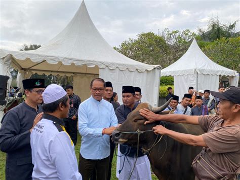 Perayaan Idul Adha 1445 Hijriah Di Lapangan Puspem Badung Wabup I