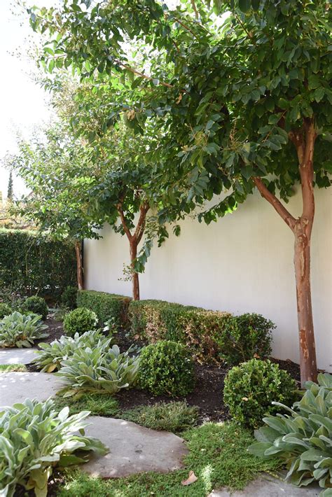 Church Terrace - Mr B's Landscaping