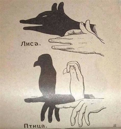 Learn This Amazing Hand Shadow Art — Steemit