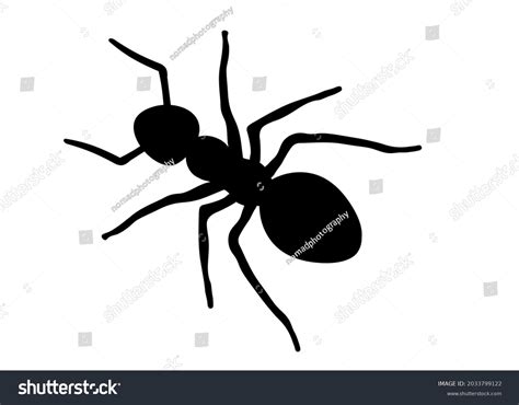 Ant Clip Art Illustration Isolated On Stock Illustration 2033799122 ...