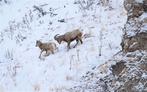 Grand Teton Photography Workshop