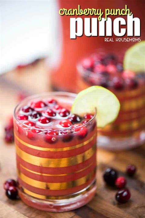 Christmas Cranberry Vodka Punch Recipe Besto Blog