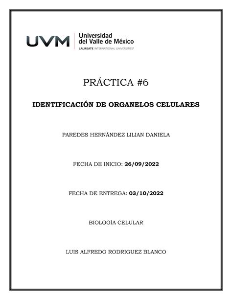 Paredes Lilian Práctica 6 PRCTICA IDENTIFICACIN DE ORGANELOS