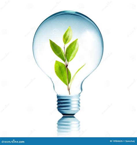 Plant Growing Inside The Light Bulb Stock Photo Image Of Conceptual