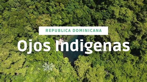 Visita A La Reserva Ecol Gica Ojos Ind Genas Punta Cana Youtube