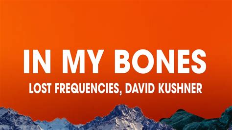 In My Bones Lost Frequencies David Kushner