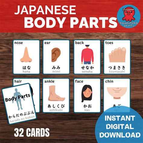 Start Learning Japanese Today With These Printable Body Parts