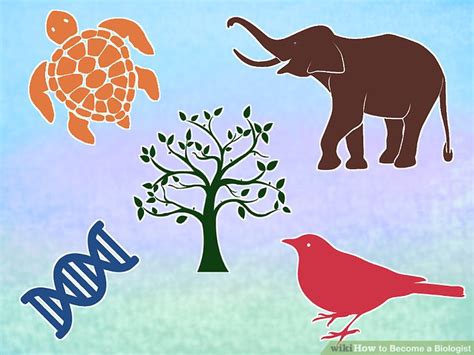 How to Become a Biologist: 12 Steps (with Pictures) - wikiHow