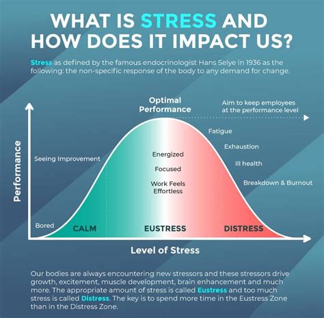 Stress Resilience 12 Strategies To Grow Stronger Through Stress Peak Coaching