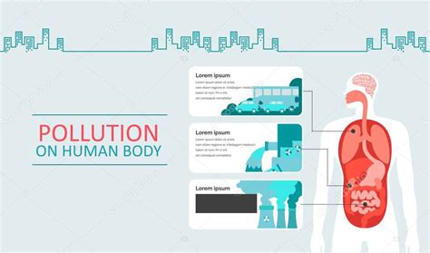 Efectos De La Contaminación En El Cuerpo Humano Contaminación