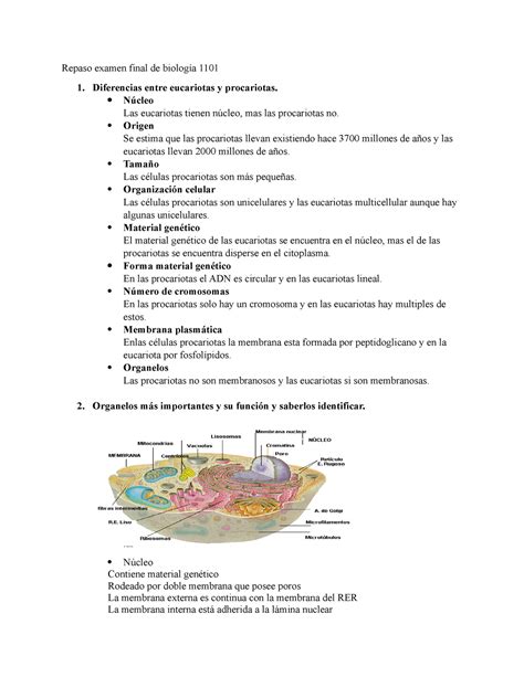 Repaso Examen Final De Biolog A Repaso Examen Final De Biolog A