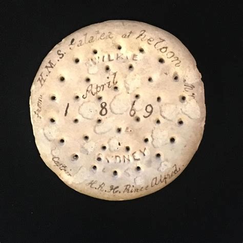 Ships Biscuit Aratoi — Wairarapa Museum Of Art And History