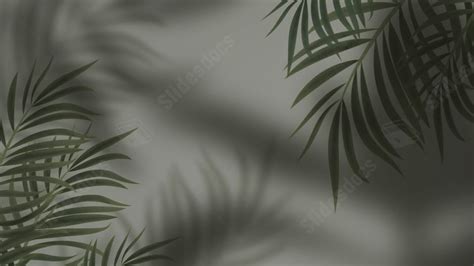 Green Leaves Leaf Shadow Nature Fashion Powerpoint Background For Free Download Slidesdocs