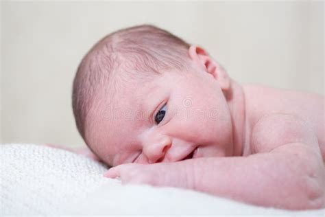 Face Of The Newborn Baby Stock Image Image Of Person 25897467