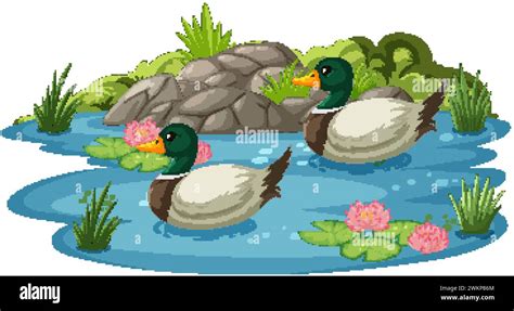 Wetland Birds Stock Vector Images Alamy