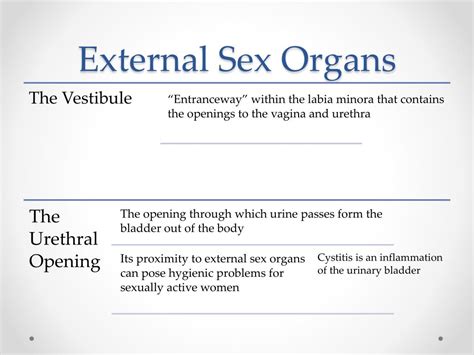 Ppt Female Sexual Anatomy And Physiology Powerpoint Presentation Free Download Id1898208